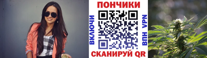 Бошки марихуана Amnesia  Лахденпохья 